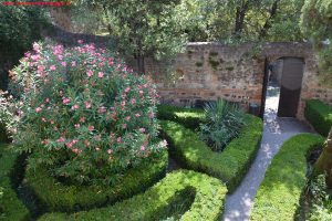 Arquà Petrarca, Innamorati in Viaggio 6