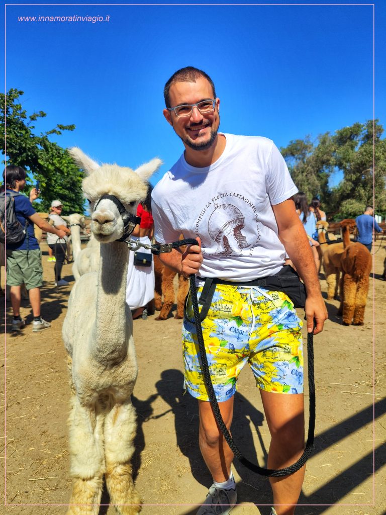 Passeggiata con gli alpaca in Lazio