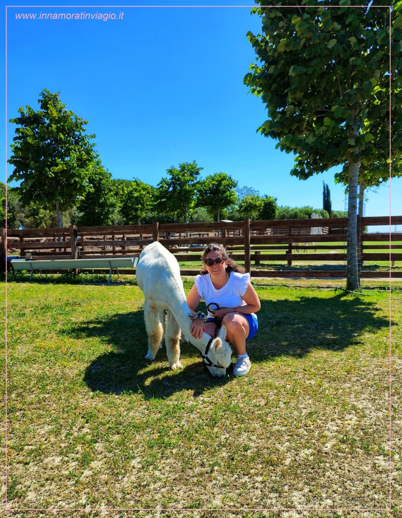 Passeggiata con gli Alpaca in Lazio