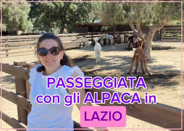 Passeggiata con gli alpaca in Lazio, copertina
